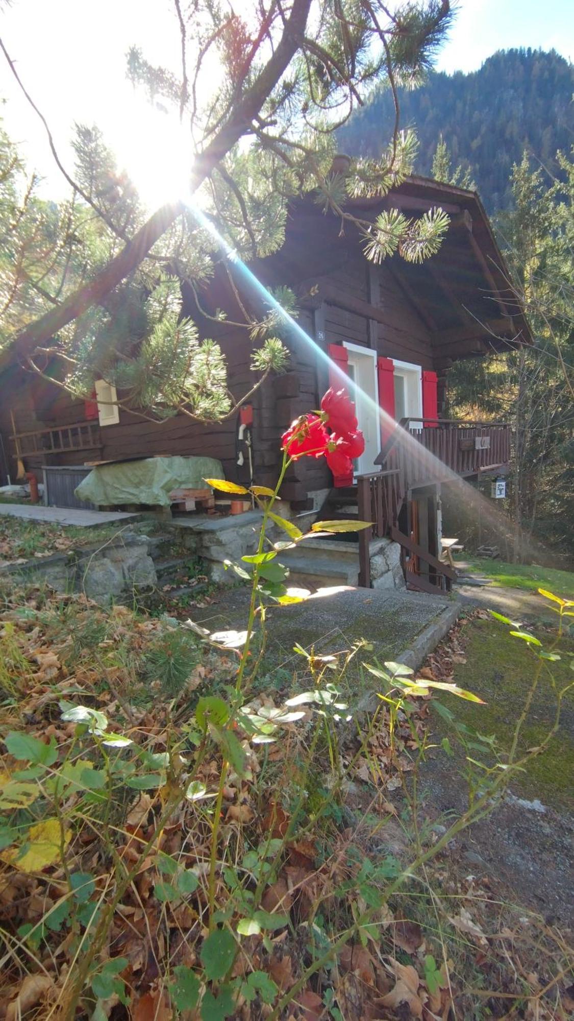 Petit Chalet Rustique Et Bucolique Bovernier Εξωτερικό φωτογραφία